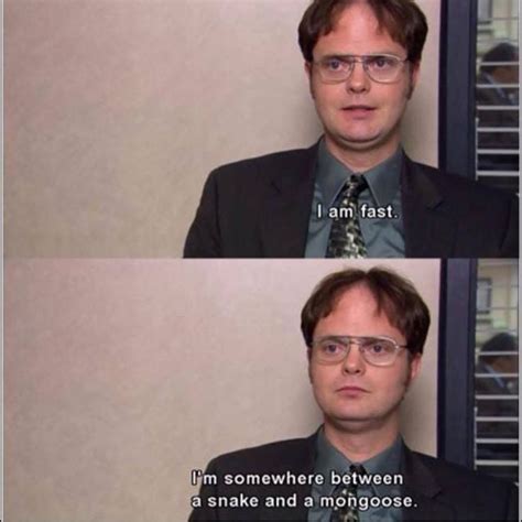 List 25 Best Dwight Schrute Quotes Photos Collection Office