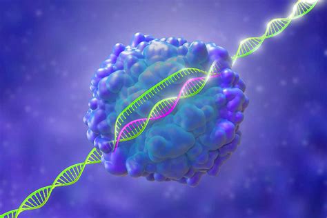 Crispr News Articles Stories And Trends For Today