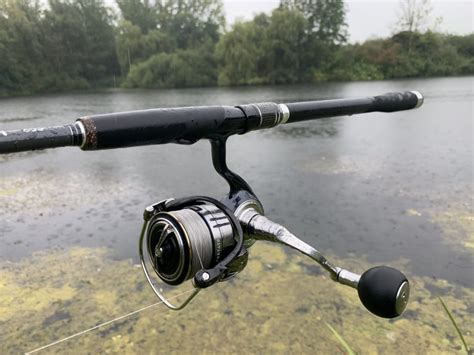 Daiwa Certate Lt Im Dreifach Test High End Ohne All Ren