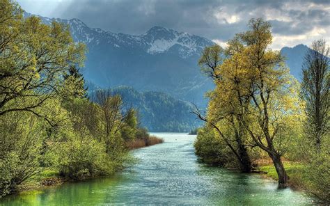 Hd Trees On The River Side Wallpaper Download Free 150090