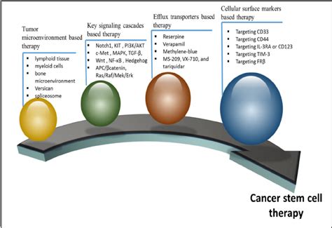Therapies Targeting Cancer Stem Cell Therapy Download Scientific Diagram