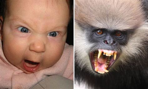 15 Pics That Prove Animals Can Feel Just As Many Emotions As Kids