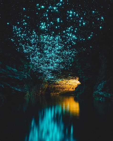 『ニュージーランド ワイトモ洞窟』 フリーダム ルーム