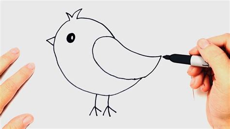 How To Draw A Bird Easy Small Bridgett Beane
