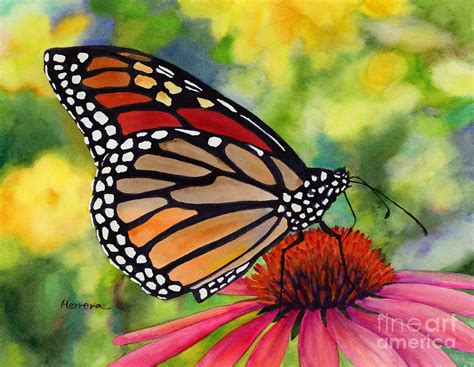 Monarch Butterfly Painting By Hailey E Herrera Pixels Merch