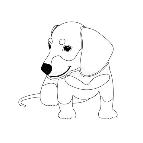 Dachshund Puppy Vector Coloring Book Stock Vector Illustration Of