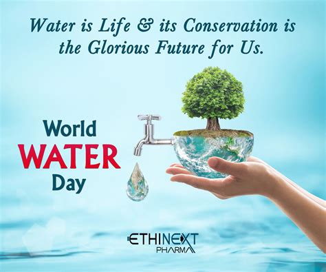 Water Is Vital For All The Living Creatures And It Is Supporting