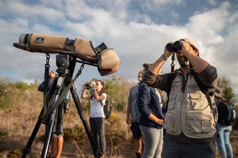 Sagres Birdwatching Festival 2023 Travel Begins At 40