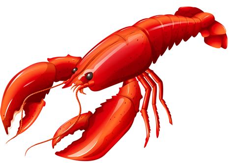 Lobster Tail Png Png Image Collection