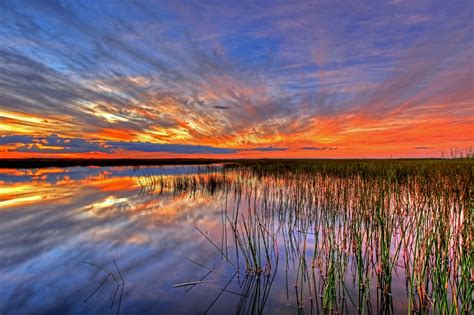 Free Images Landscape Sea Water Horizon Marsh Swamp Light Cloud Sky Sunrise Sunset