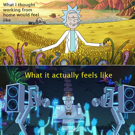 I Made My First Rick And Morty Meme Because Im So Fulfilled R