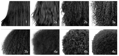 A hair stylist can use your. Image result for curl types chart | Hair type, Black hair ...