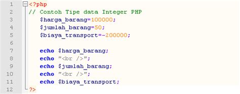 Tutorial Php Tipe Data Integer Dan Cara Penulisan Integer Php