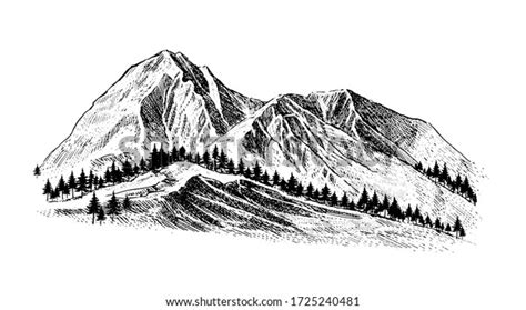 Mountain Pine Trees Landscape Black On Stock Vector Royalty Free