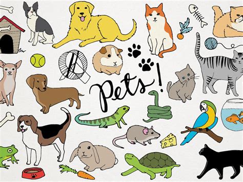 Free Many Pets Cliparts Download Free Many Pets Cliparts Png Images