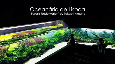 This man has changed the aquarium hobby completely. Grand Opening - Forests Underwater by Takashi Amano ...