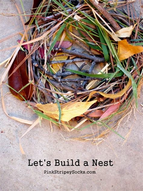 Build A Birds Nest Pink Stripey Socks Forest School Activities