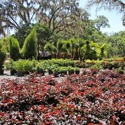 For a basic look that will solve erosion issues, use one variety of ground cover and buy in bulk to save money. Beautify Your Garden With These Easy Ground Cover Suggestions