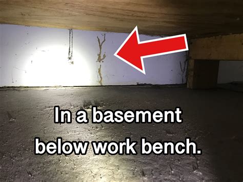 We can identify and help eliminate all kinds of pests including. Termite Control and Termite Inspection Company In ...