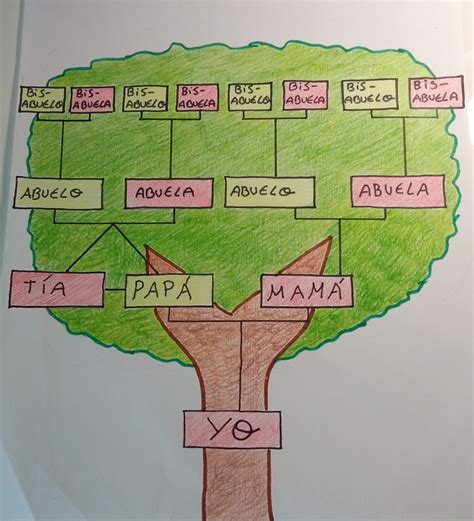 Como Dibujar Un Arbol Genealogico Para Ninos Como Trabajar The Best