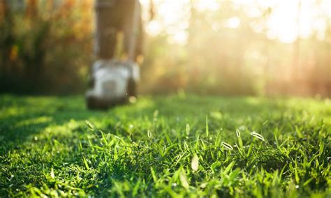 5 Tips For Preparing Your Lawn For The Winter