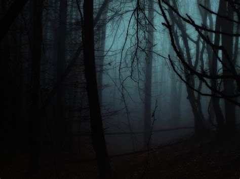 Ghost Forest By Weissglut On Deviantart