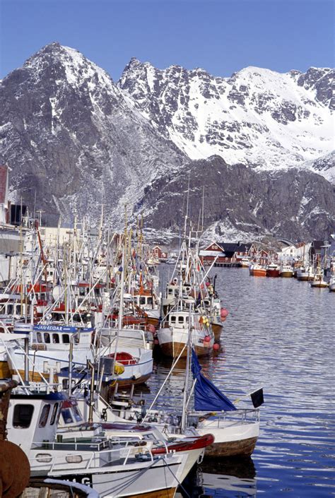 Henningsvær's dramatic setting is on par with reine, with colorful buildings lining the harbor and the steep mountains of austvågøya as a backdrop. Aktiviteter - Finnholmen Brygge AS