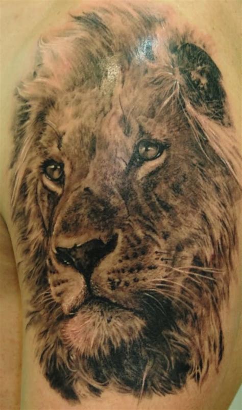 Leones Una Buena Colección Con 160 Tatuajes