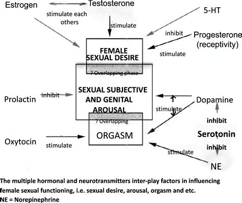 Serotonin Selective Reuptake Inhibitors Ssris And Female Sexual