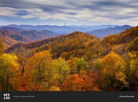 Colorful Autumn In The Deep Creek Valley Great Smoky