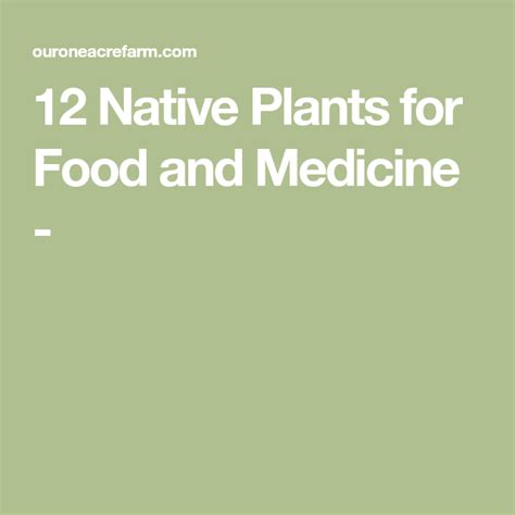 12 Native Plants For Food And Medicine Native Plants Plants