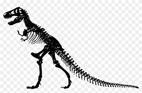 Dna and bone cells found in dinosaur bone. Powerpoint Template 2 Dinosaur Skeletons With Bones ...