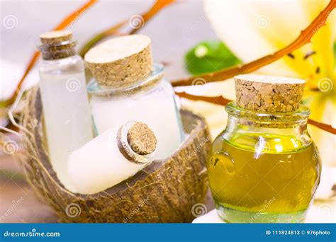 Coconut Spa Wellness Concept Stock Image Image Of Essential Brown 111824813