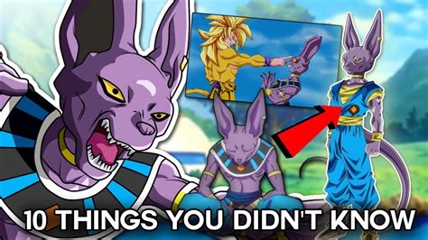 10 Things You Didnt Know About Beerus Probably Dragon Ball Super