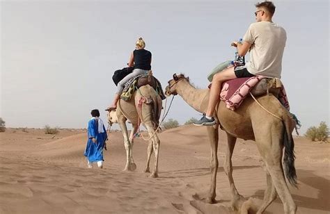 2023 Private Evening Desert Safari With Camel Ride Bbq Dinner And Belly Dance