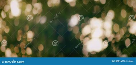 Green Vibrant Natural Bokeh Abstract Background Defocused Leaves Of