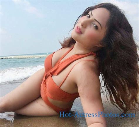 Nikesha Patel Latest Hot Photos In Bikini Hot Actress Photos