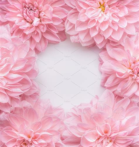 Creative Pastel Pink Flowers Frame ~ Arts And Entertainment