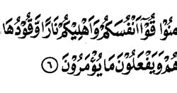 Read and learn surah tahrim 66:6 to get allah's blessings. Tajwid Surat At tahrim Ayat 6 - MasRozak dot COM