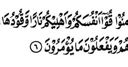 Surah ini tergolong surat madaniyah yang terdiri atas 12 ayat. Tajwid Surat At tahrim Ayat 6 - MasRozak dot COM