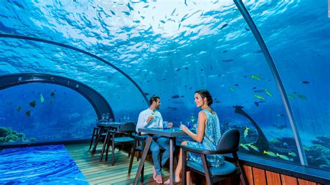 Worlds First Underwater Hotel Residence Opens Cnn Video