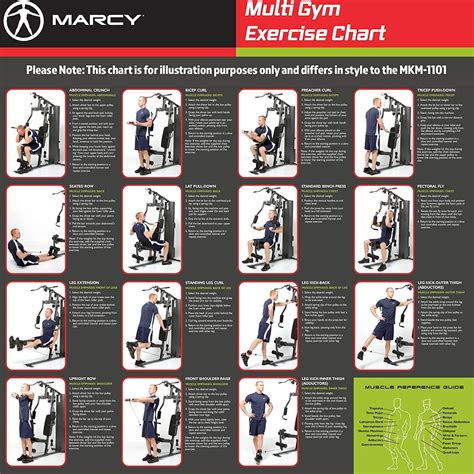 Marcy Mwm Workout Routine Marcy Home Gym Workout Plan Best Marcy Home Gym Workout