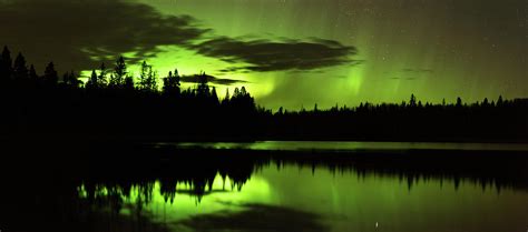 Bright Green Northern Lights Aurora Reflecting In Calm Water With Pine
