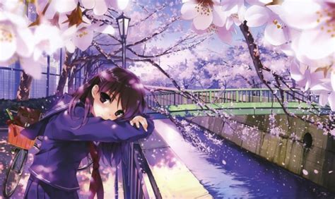 Anime Girl Under Cherry Blossom Tree 3000x1787 Wallpaper
