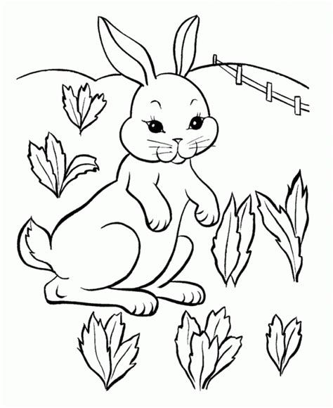 40+ cute bunny coloring pages for printing and coloring. Get This Baby Bunny Coloring Pages for Toddlers 41738