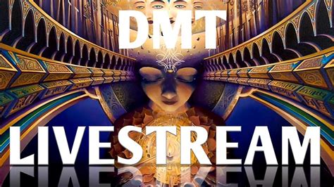 The DMT experience & consciousness LIVESTREAM | Dr. James Cooke - YouTube