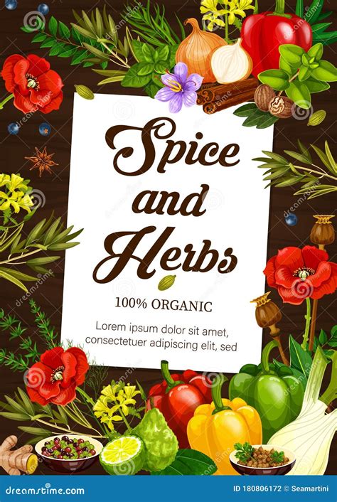 Organic Cooking Spices And Herb Seasonings Poster Stock Vector