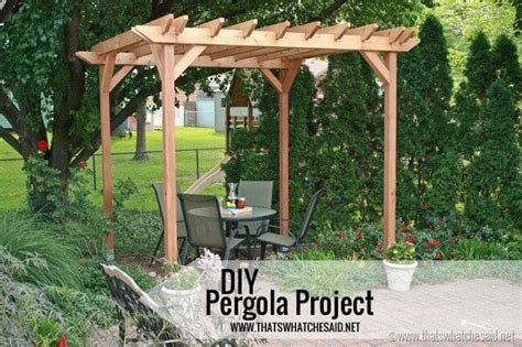 Maybe you would like to learn more about one of these? Weekend DIY Pergola Project - That's What {Che} Said...