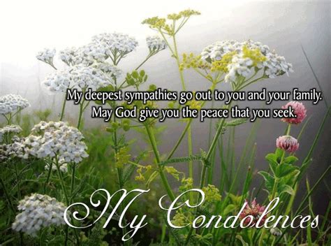 Example sentences with the word condolences. My Condolences To You And Your Family. Free Sympathy ...