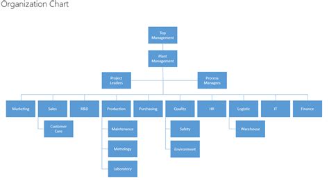Organization Organizational Chart With Responsibilities Template Pdf